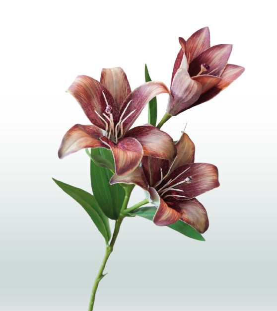 Kleine Lilie 70 cm