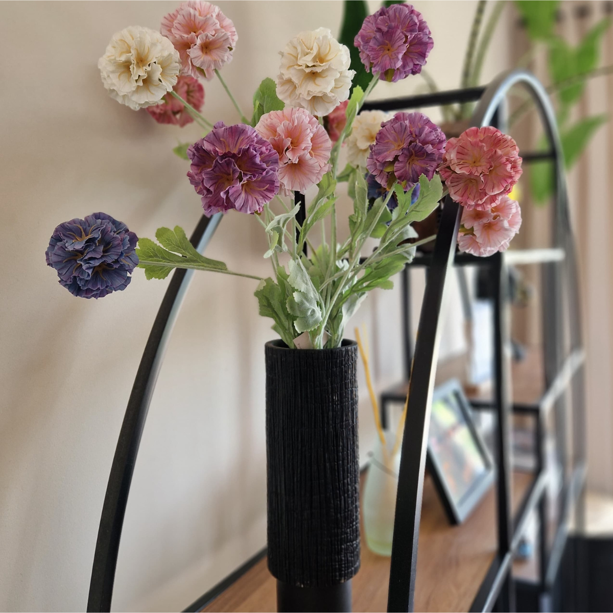 Scabiosa 68 cm 3 Blüten pro Stiel