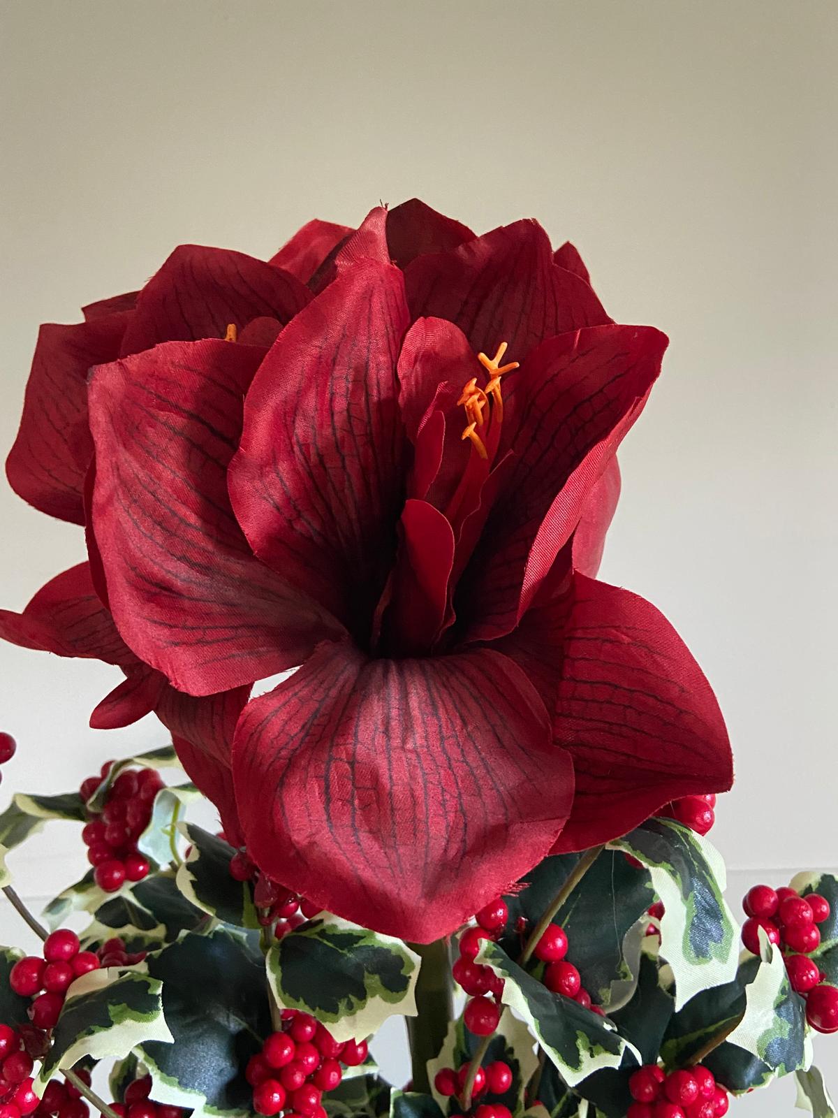 Amaryllis 67cm
