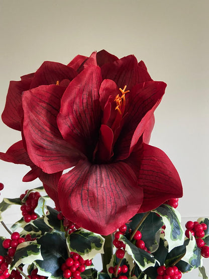 Amaryllis 67cm