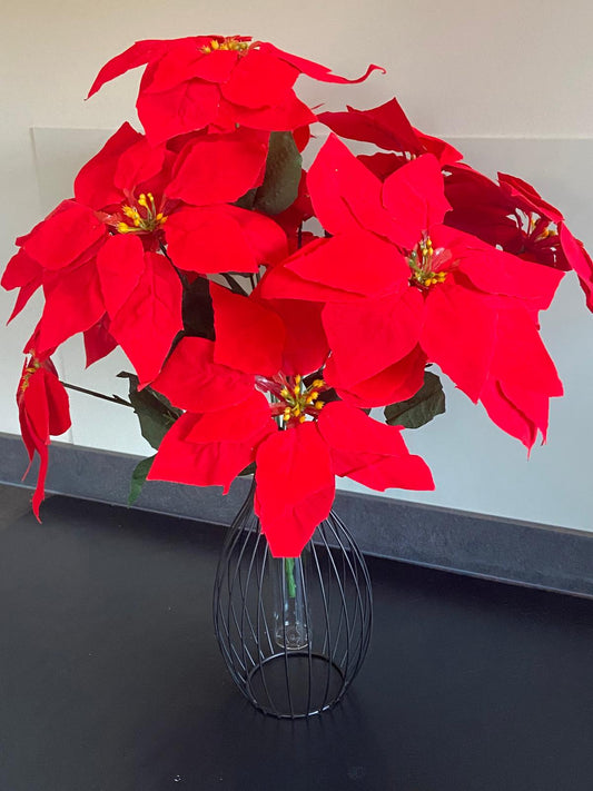 Seiden Poinsettie