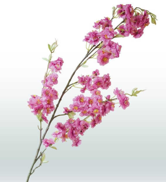 Seiden-Kirschblüte 120 cm