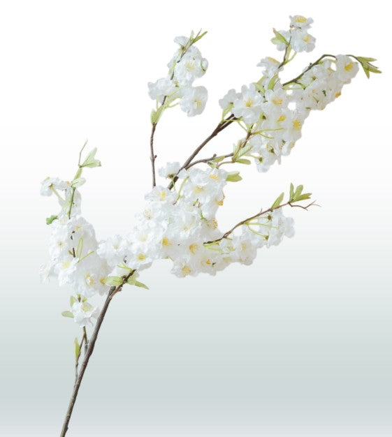 Seiden-Kirschblüte 120 cm