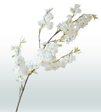 Seiden-Kirschblüte 120 cm