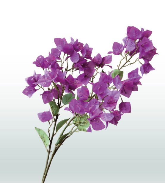Seidene Bougainvillea98 cm